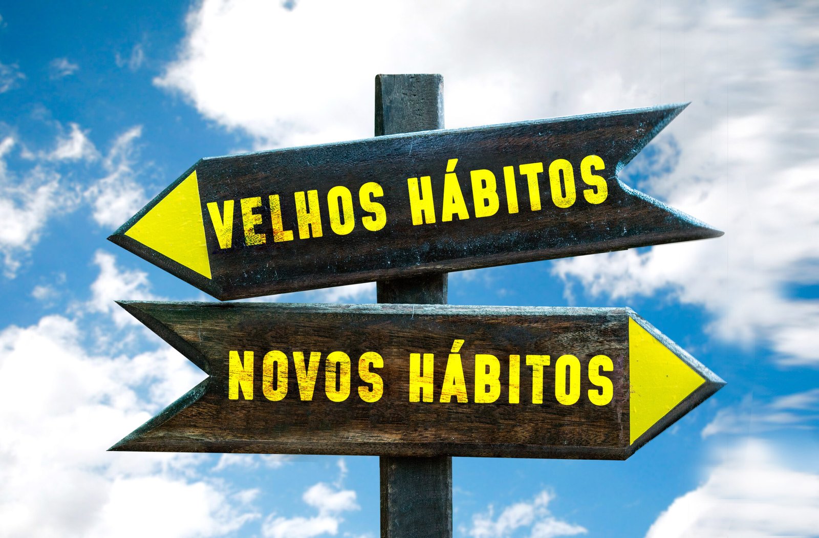 Transforme Sua Vida: Guia Definitivo para Abandonar Hábitos Ruins e Adotar um Estilo de Vida Saudável