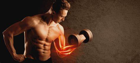 Suplementos Pré-Treino: Energia Extra ou Mito? Descubra Agora!